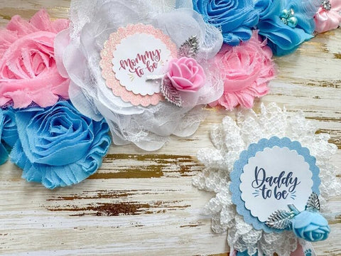 Girl Pink Boy Blue Gender Reveal Baby Shower Mommy to be Sash